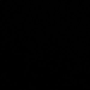 Meet your Posher, Gloria